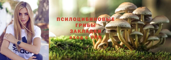 спайс Бородино