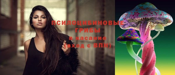 герыч Богородск