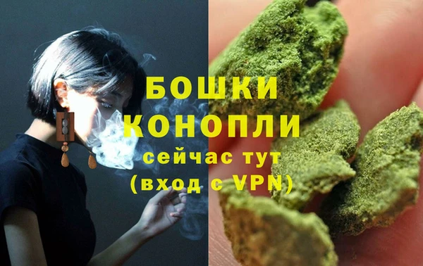 спайс Бородино