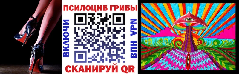 omg вход  магазин    Отрадное  Псилоцибиновые грибы Psilocybine cubensis 